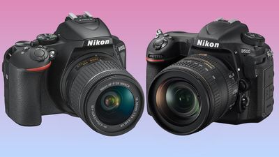 Old dogs, new tricks: Nikon updates firmware on eight-year-old D500 and D5600