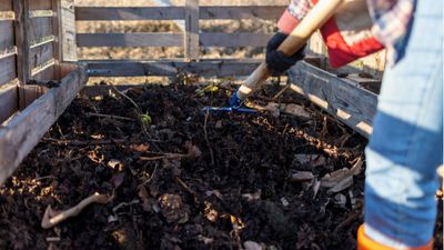 Winter composting hacks – 5 easy shortcuts to create organic matter in time for spring