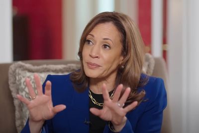 Harris campaign head admits talking to NYT and Washington Post is pointless: ‘Those readers are already with us’