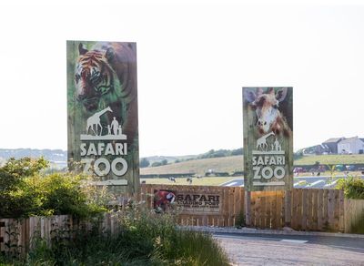 Britain’s ‘worst zoo’ where keeper was mauled to death and animals went missing set to close