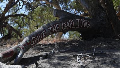 Mission to save Murray-Darling Basin edges forward