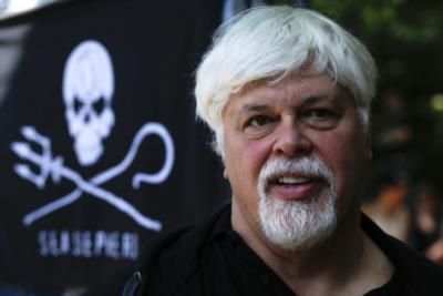 Denmark Releases Anti-Whaling Activist Paul Watson From Detention