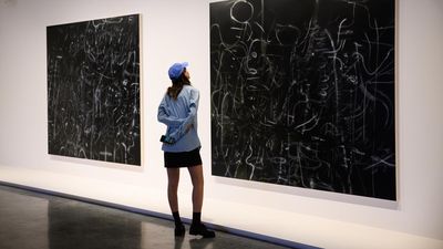 Cash shortage forces major gallery to charge $20 entry