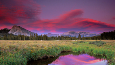 Soon you'll be able to experience this Yosemite meadow as it was 150 years ago thanks to $18 million restoration project