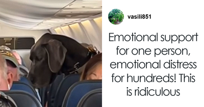 “This Is Ridiculous”: Passenger Dragged For Unleashing “Emotional Support” Great Dane On Plane