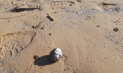 Mysterious Balls Keep Washing Up On Australian Beaches