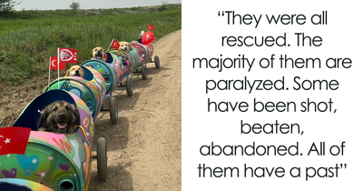 Woman Rescues Hundreds Of Disabled Pups, Builds Them A Dog Train, And Takes Them On Adventures