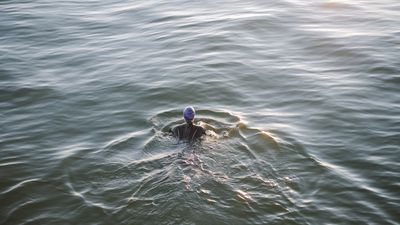 Wild swimmers in Iowa to benefit from major lake restoration in 2025