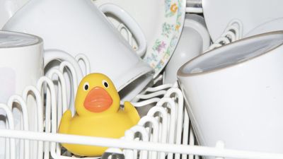 Expert reveals 5 items you should never load in your dishwasher