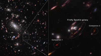 James Webb telescope spies stunning 'Firefly Sparkle' galaxy — a baby clone of the Milky Way being 'assembled brick by brick' in the early universe