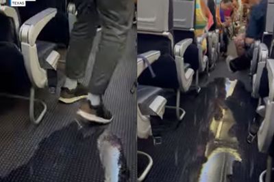 WATCH: American Airlines Plane Floods With Water Mid-Flight, Bewildering Travelers