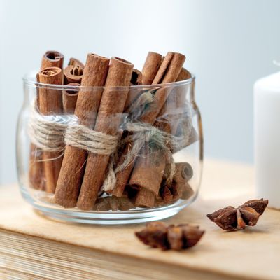 These 3 common household pests hate this festive scent - how cinnamon can be used to prevent bedbugs, silverfish and spiders