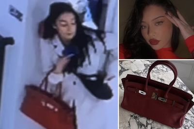 OPINION - I'm sorry, but this is why I have no sympathy for the woman whose £10,000 handbag was stolen in London