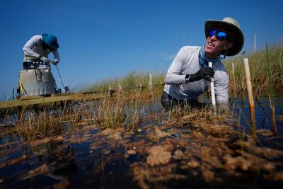 In Florida, a race is on to save the Everglades and protect a key source of drinking water