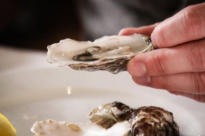 Oysters recalled over possible contamination with infectious norovirus