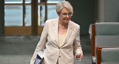 Tanya Plibersek in hot water over no ‘new’ coal mine claims