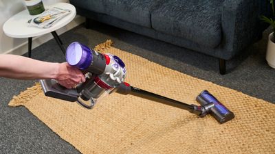 Dyson V8 Animal vs V8 Absolute: what's the difference?