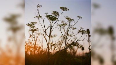 The Peter Marlow Foundation announces its first relaxing retreat for photographers