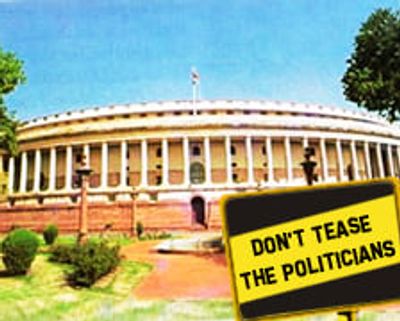 Don’t Tease the Politicians