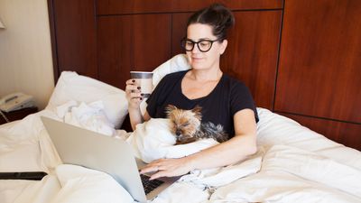 Dog expert reveals what they look for in a hotel when travelling with a pet