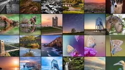 I’m planning my 365 photography project now! Here's why I'm not waiting until the New Year and my #1 secret for success