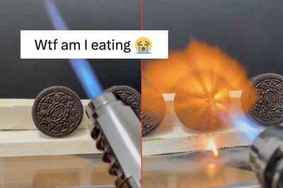 Social Media Users Freak Out After Video Shows Oreos Surviving Intense Blast with Blowtorch: 'WTF Am I Eating'