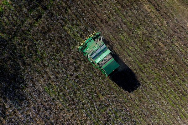 Farmers are still reeling months after Hurricane Helene ravaged crops across the South