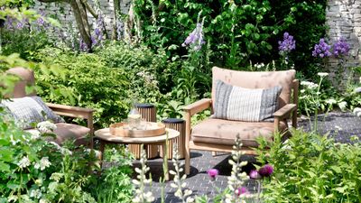 How to make a courtyard garden look bigger – 8 tips and tricks from the experts to utilize every inch of your city yard