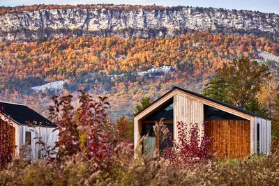 Wildflower Farms, Upstate New York: the perfect place to reset and rewild away from the city