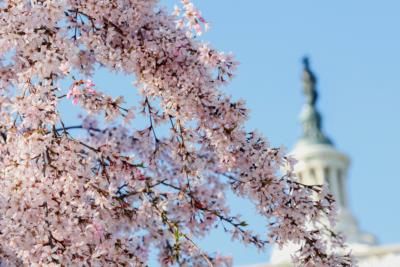 Senate Approves D.C. RFK Stadium Revitalization Act