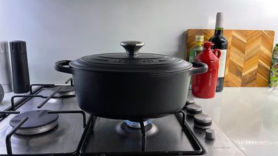 I always thought round casserole dishes were the best, but my oval Le Creuset has proven me wrong