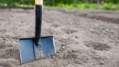 How to sharpen a spade – 5 fast steps for a better and quicker dig