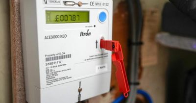 'Deep concerns' over lack of urgency to replace soon to be switched off meters