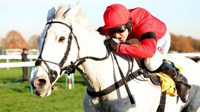 King George Chase Runners Guide 2024: Grey Dawning Favourite