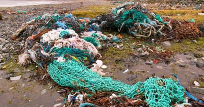 Scottish marine life at risk from discarded fishing gear