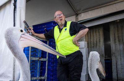 Nostalgia on the menu: Sydney’s famed fish market serving up its last Christmas catch