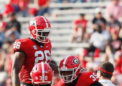 Texas A&M looking to add another UGA transfer