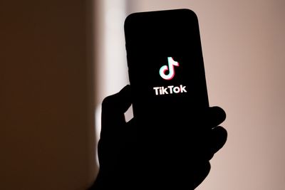 Albania Bans TikTok for 1 Year After Teen Killed, PM Slams Apps's 'Scum and Mud' Content