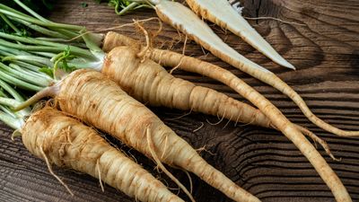 How to grow parsley root – a historic and nutritious crop that gives two different harvests