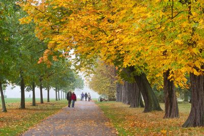 Final grants for pubs, pools and parks announced under community ownership fund