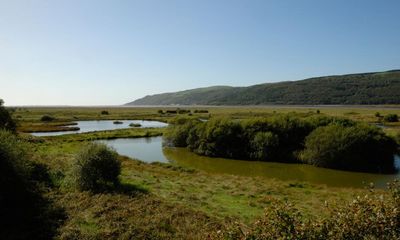 Country diary: Few have known this landscape better than Penny Condry