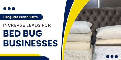 Using Data-Driven SEO to Increase Leads for Bed Bug Businesses