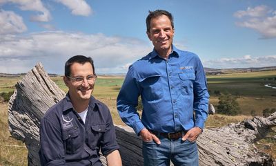 Sheep farmers are helping save Tasmania’s native grasslands: ‘We’re better off working together’