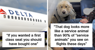 Passenger’s First-Class Delta Flight Ruined When He’s Forced To Give Up Seat For Canine