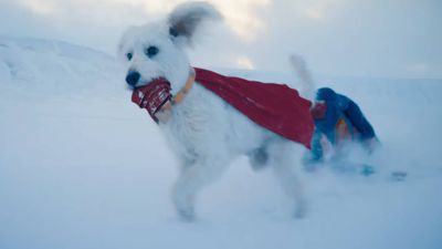 Superman’s super dog Krypto may look all innocent in the trailer, but James Gunn says he is a "terrible dog" and is based on his own mischievous mutt