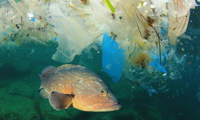 We need to ditch plastic lids for the planet