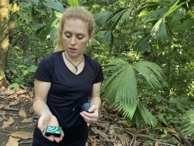 AI-Powered Acoustic Monitoring Reveals Spider Monkey Behavior