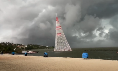 Giant Christmas Tree Kills Worker in Brazil After Collapsing During Storm