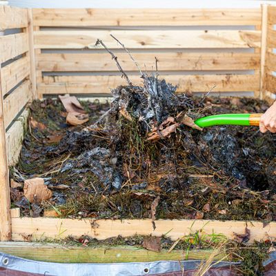 Winter composting hacks – 6 ways to accelerate a compost pile and fill your garden beds for free next spring