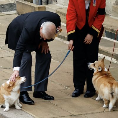 Why Prince Andrew Reportedly "Can't Bring Himself" to Walk Queen Elizabeth's Corgis